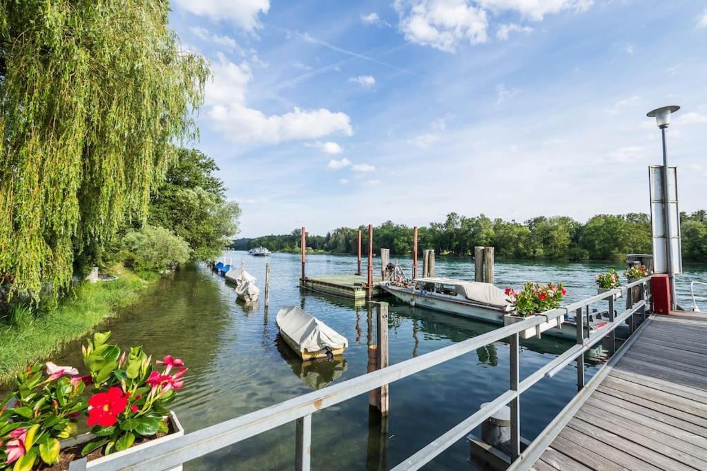 Luxury Apartment On The Rhein Бюзінген-ам-Гохрайн Екстер'єр фото